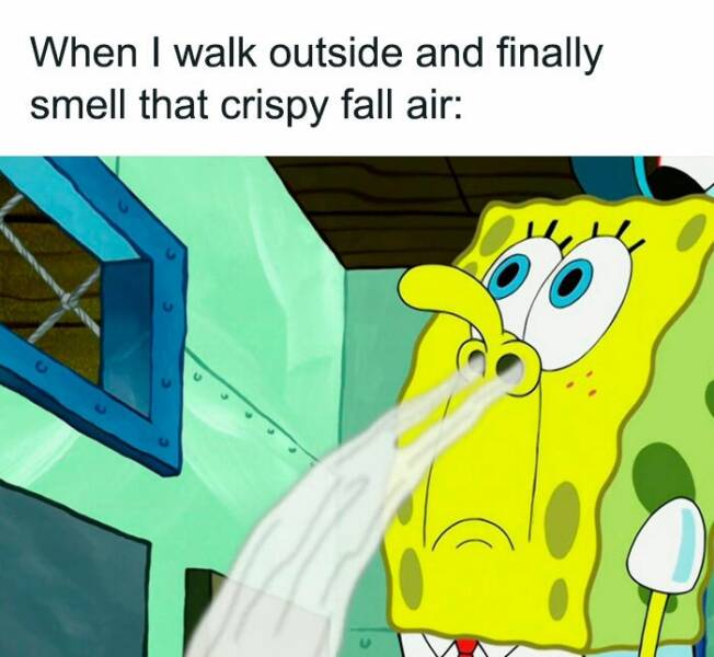 Fall Memes That Embrace Autumn’s Vibes