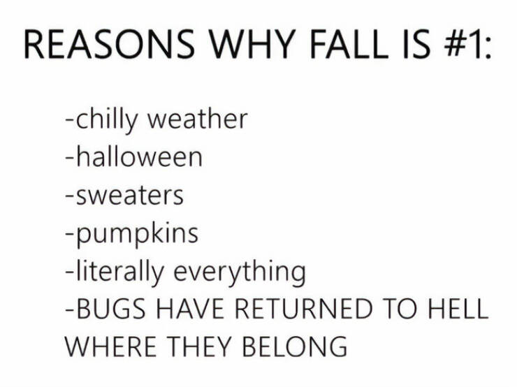 Fall Memes That Embrace Autumn’s Vibes