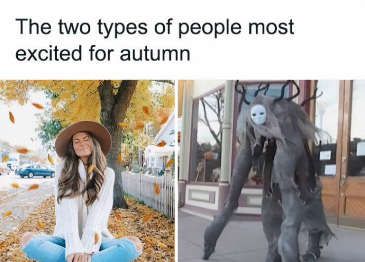 Fall Memes That Embrace Autumn’s Vibes