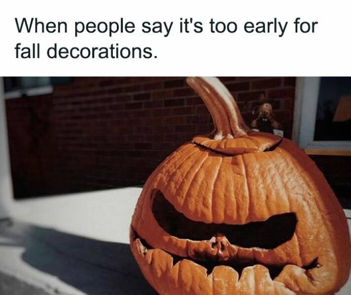 Fall Memes That Embrace Autumn’s Vibes