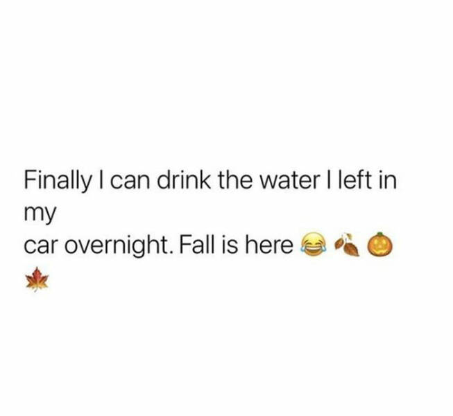 Fall Memes That Embrace Autumn’s Vibes