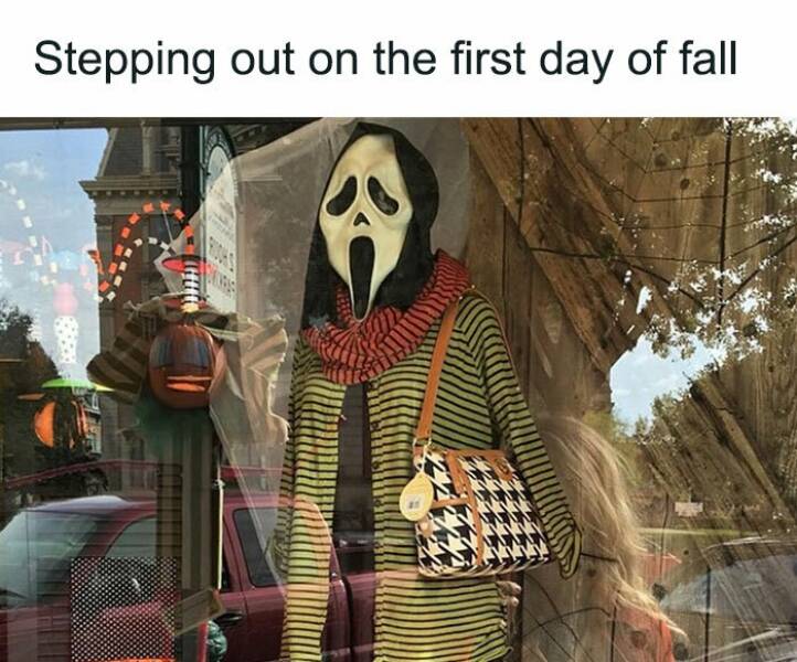 Fall Memes That Embrace Autumn’s Vibes