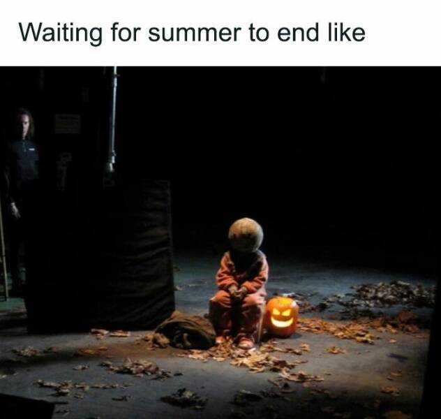 Fall Memes That Embrace Autumn’s Vibes