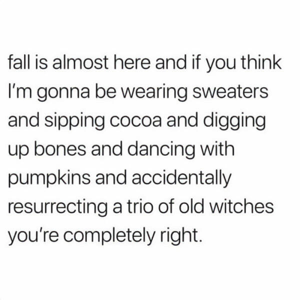 Fall Memes That Embrace Autumn’s Vibes