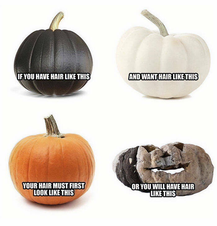 Fall Memes That Embrace Autumn’s Vibes