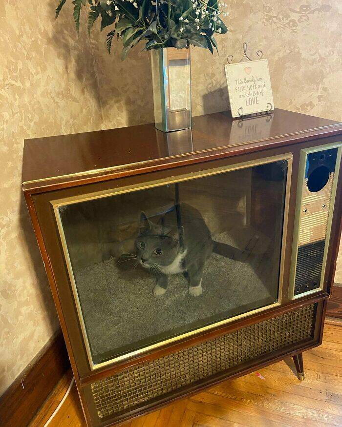 Bizarre And Hilarious Finds From Thrift Stores And Flea Markets