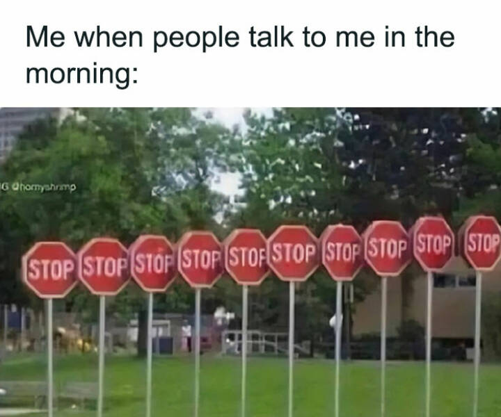 Memes Every Introvert Will Relate To