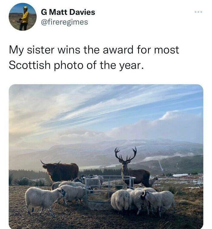 Scottish Humor At Its Finest