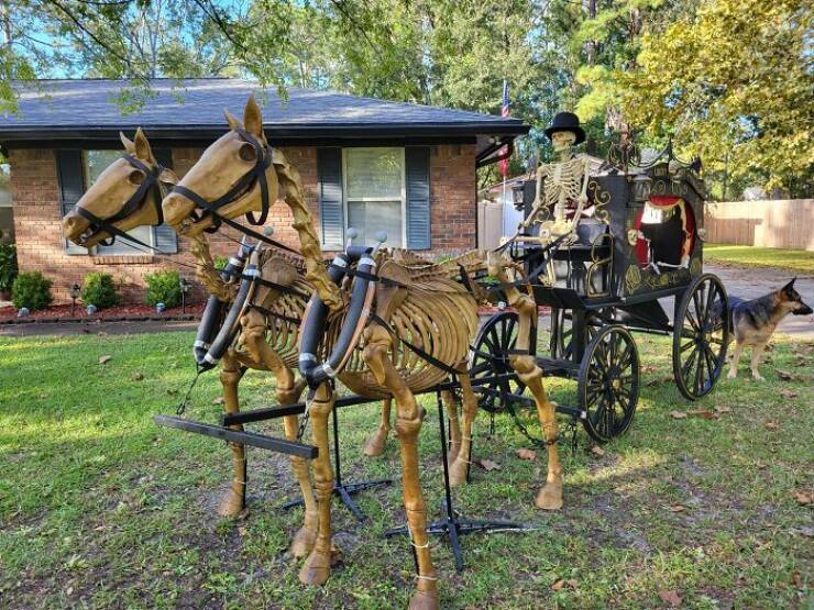 Epic Halloween Yard Displays That Took Spooky To The Next Level