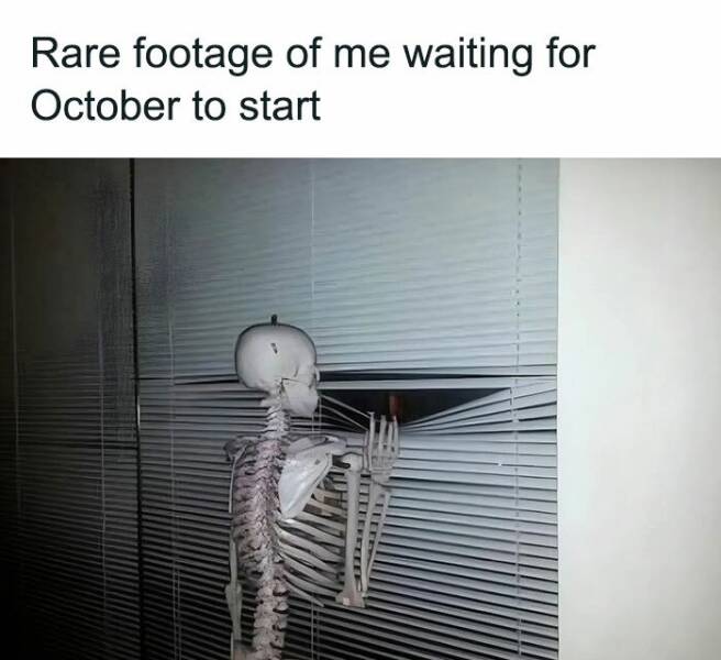 Hilarious October Memes To Get You In The Fall Spirit