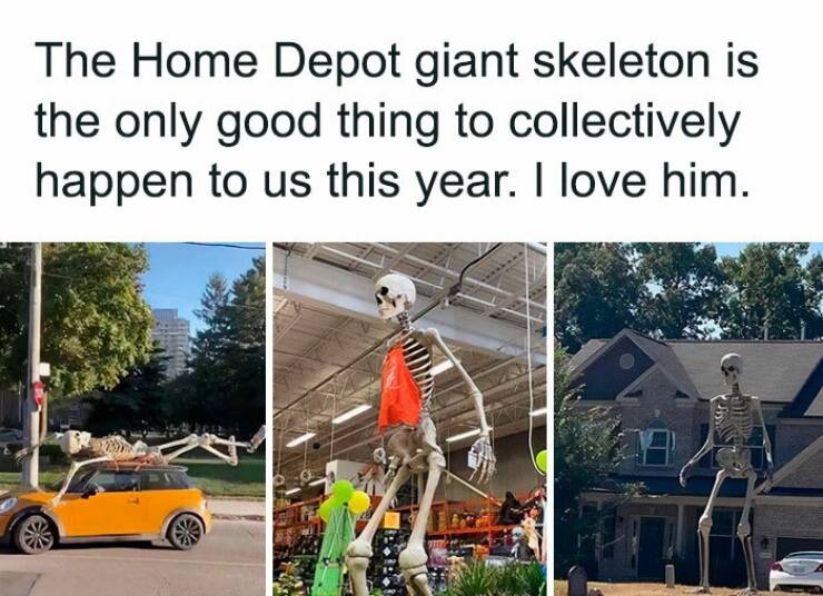 Hilarious October Memes To Get You In The Fall Spirit