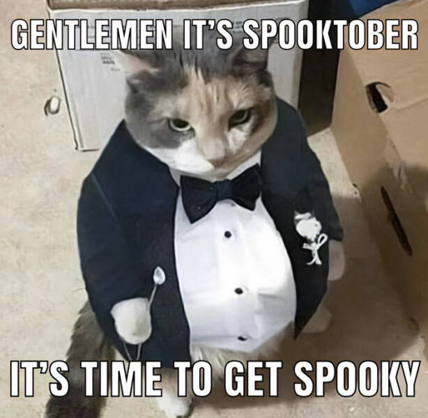 Hilarious October Memes To Get You In The Fall Spirit