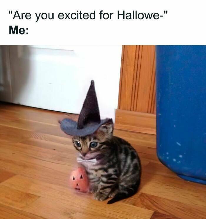 Hilarious October Memes To Get You In The Fall Spirit