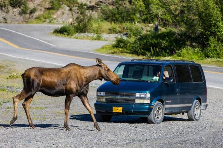 Breathtaking Rare Photos That Show Nature Like Never Before