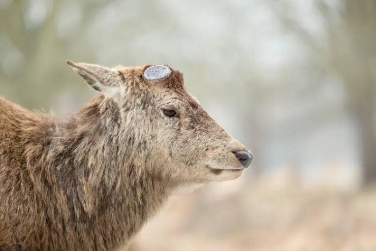 Breathtaking Rare Photos That Show Nature Like Never Before