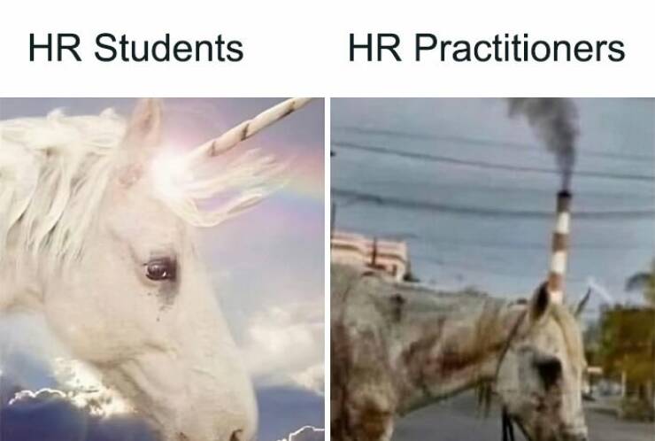 Memes For Every HR Specialist