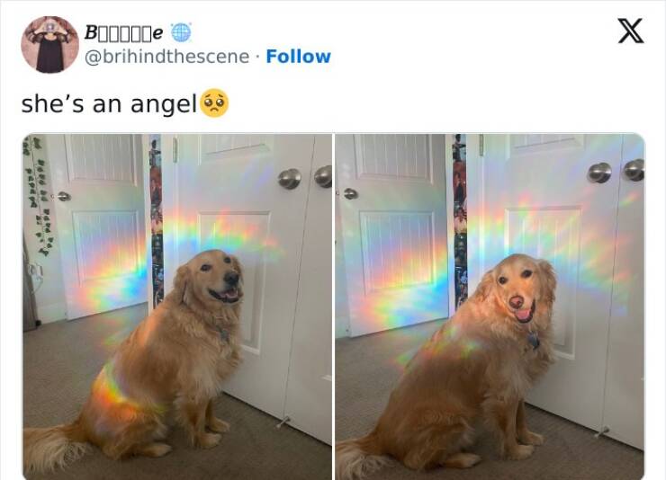 Heartwarming Posts To Brighten Your Day