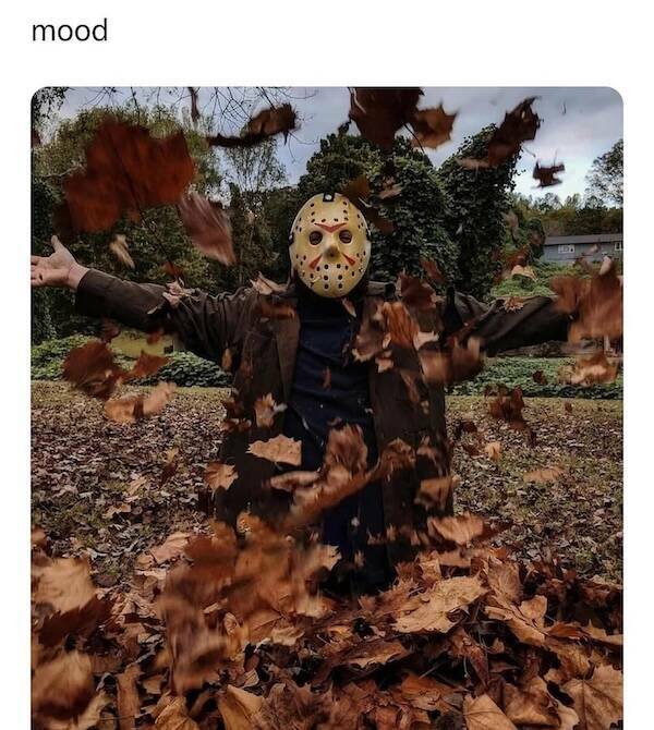 Spooky Memes To Get You In The Spirit