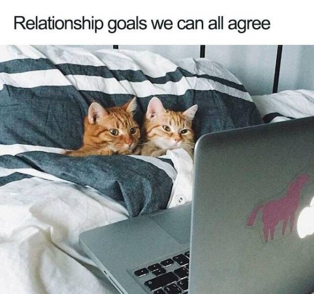 Hilarious Relationship Memes That Every Couple Will Relate To