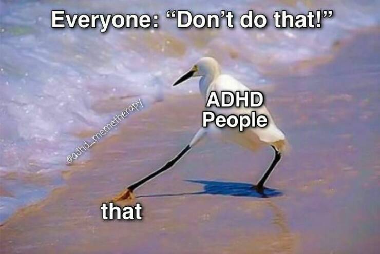 Hilariously Relatable ADHD Memes For Anyone Who’s Easily Distracted