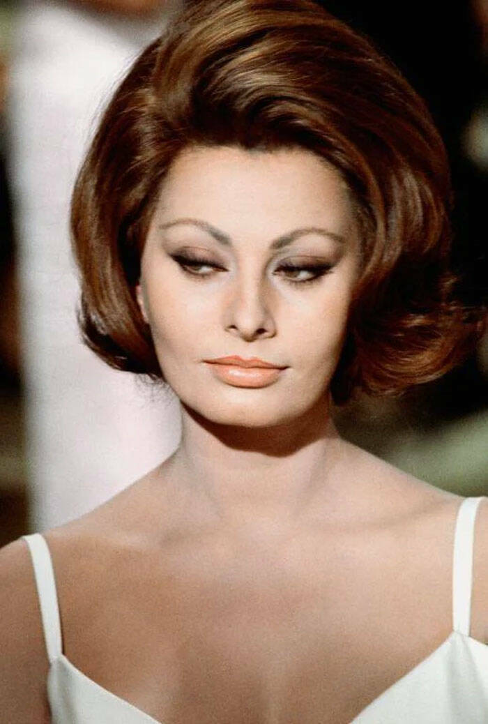 Iconic Womens Hairstyles From The 1960s