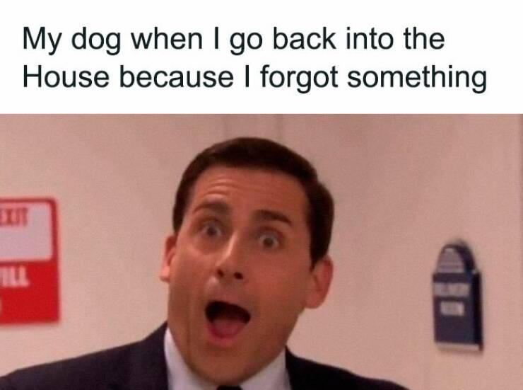 Memes That Will Make Every The Office Fan Hit Replay