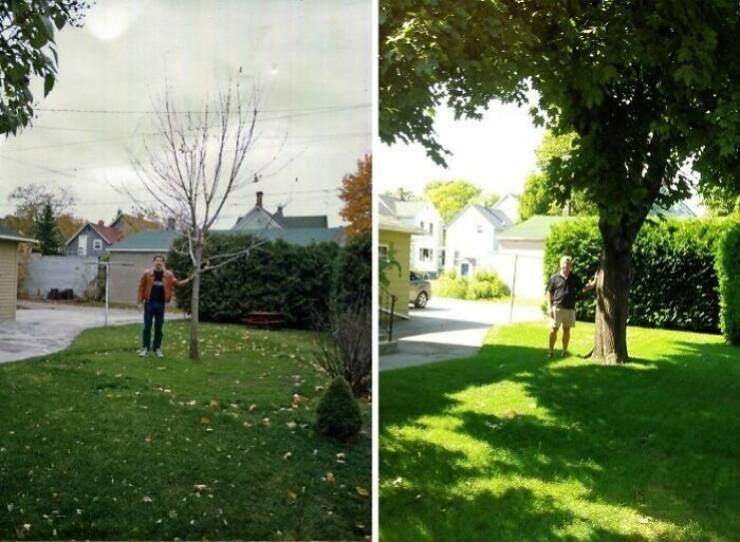 Amazing Before And After Photos of Trees Growing Over The Years