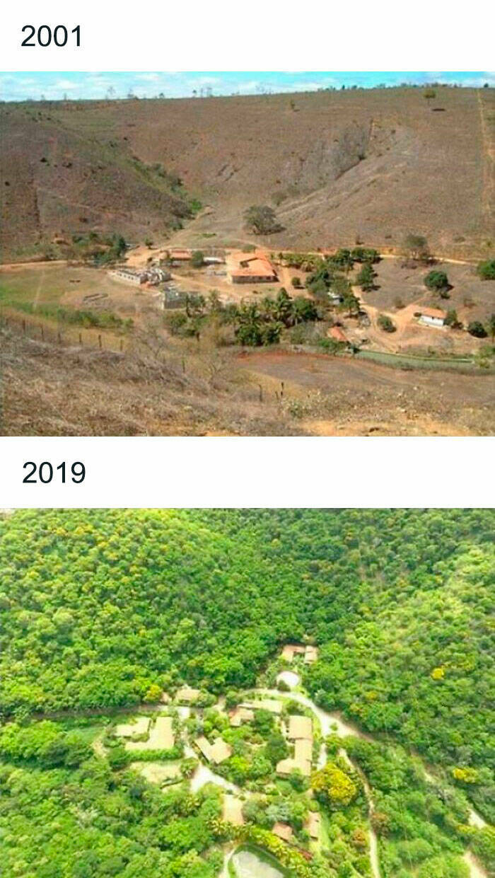 Amazing Before And After Photos of Trees Growing Over The Years