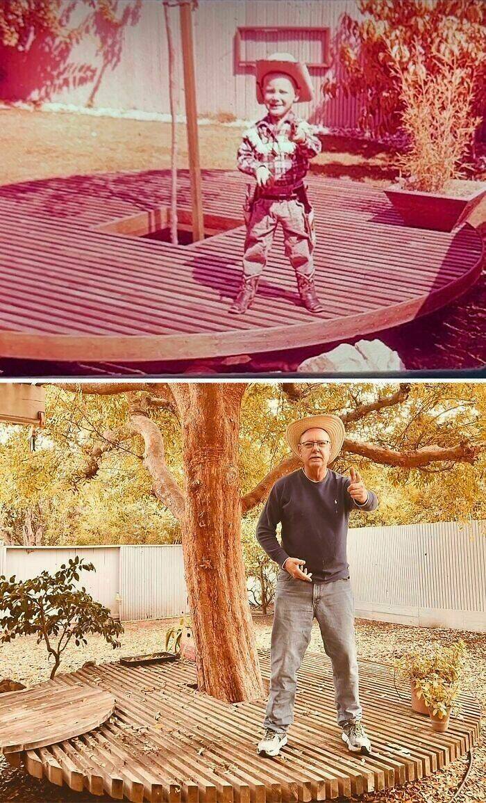 Amazing Before And After Photos of Trees Growing Over The Years