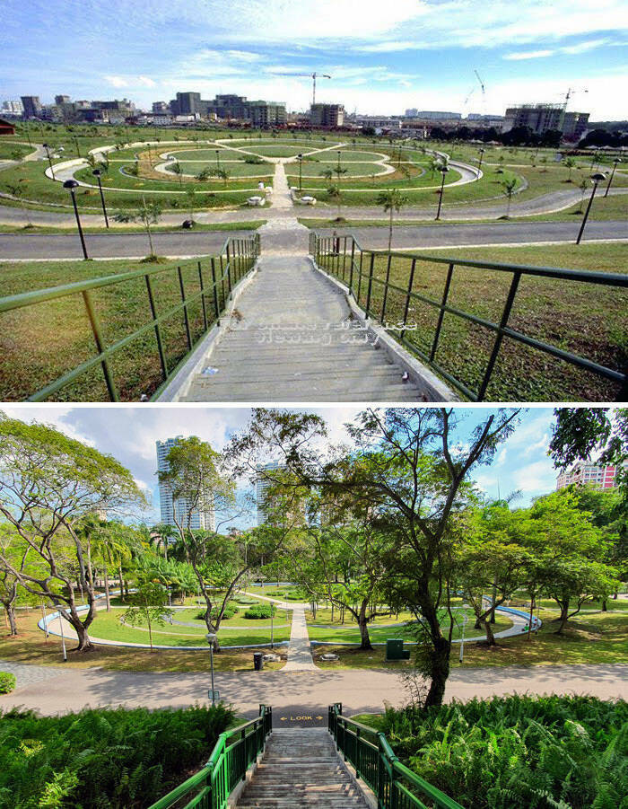 Amazing Before And After Photos of Trees Growing Over The Years