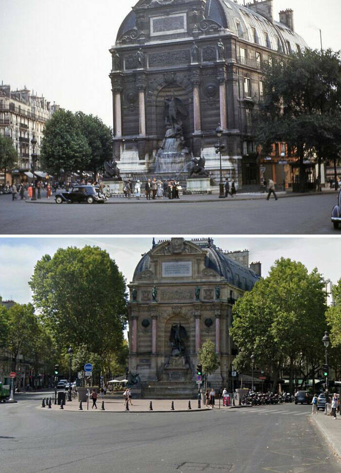 Amazing Before And After Photos of Trees Growing Over The Years