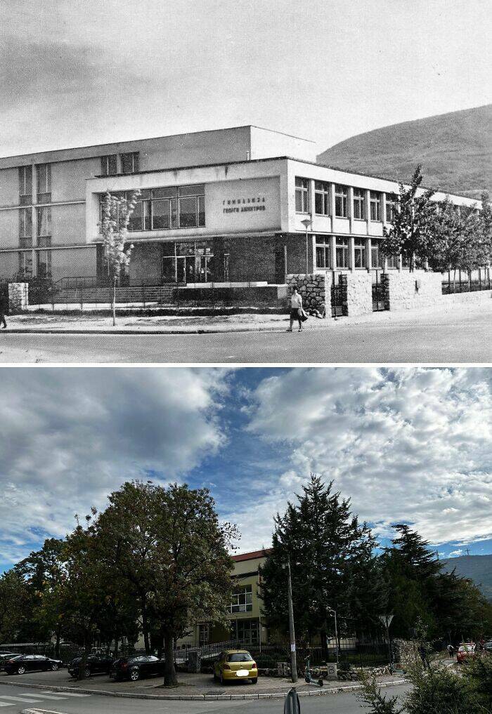 Amazing Before And After Photos of Trees Growing Over The Years