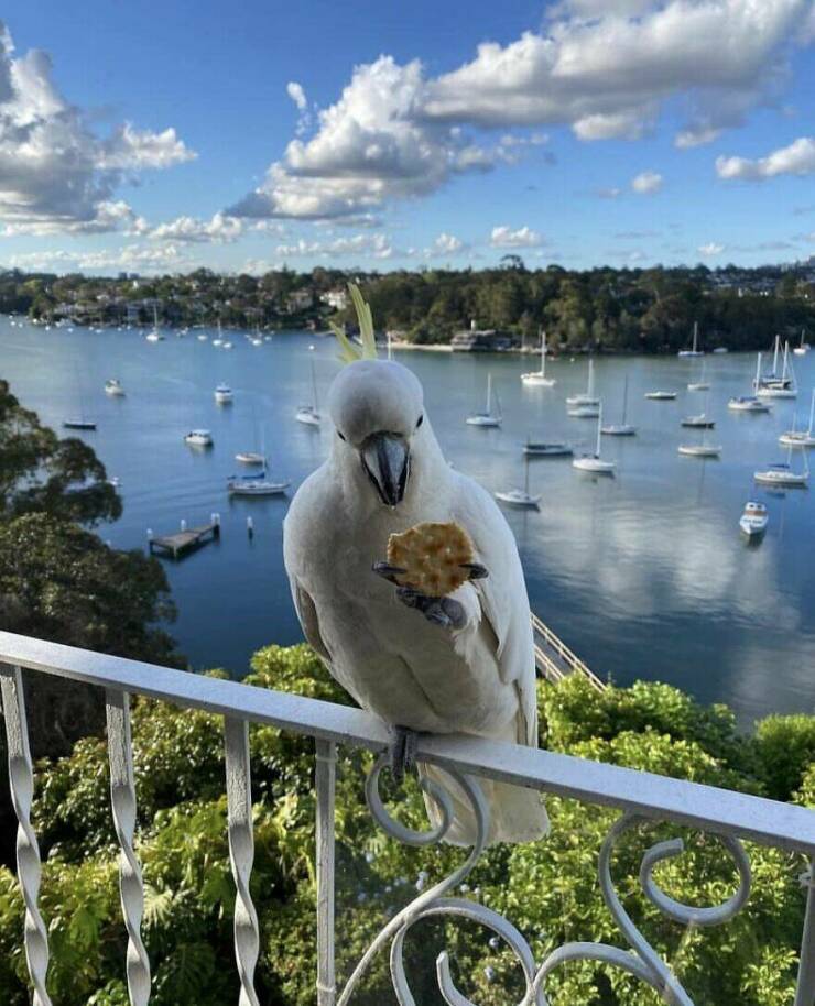 Breathtaking Views People Snapped Right Outside Their Windows