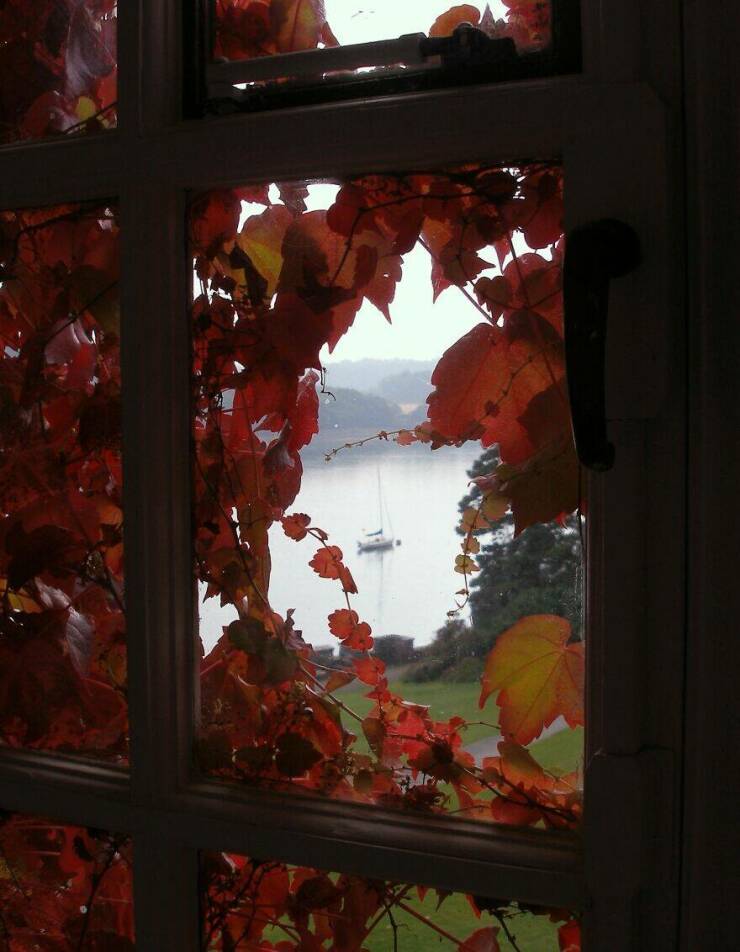 Breathtaking Views People Snapped Right Outside Their Windows