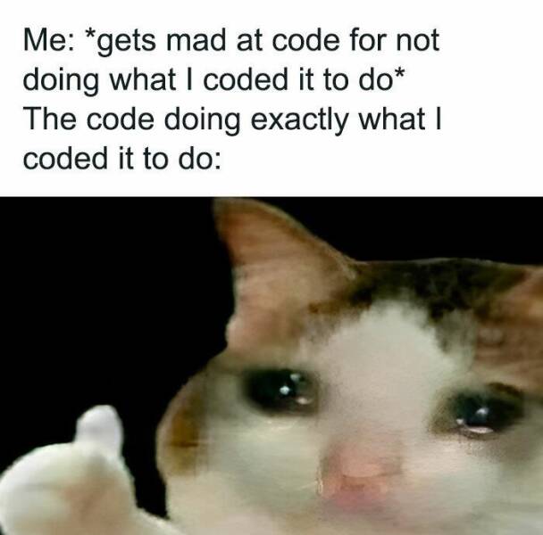 Laugh-Out-Loud Programming Memes Every Coder Will Appreciate