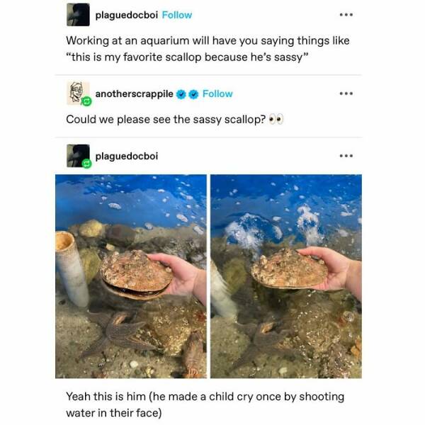 Heartwarming Memes And Posts To Restore Your Faith In Humanity