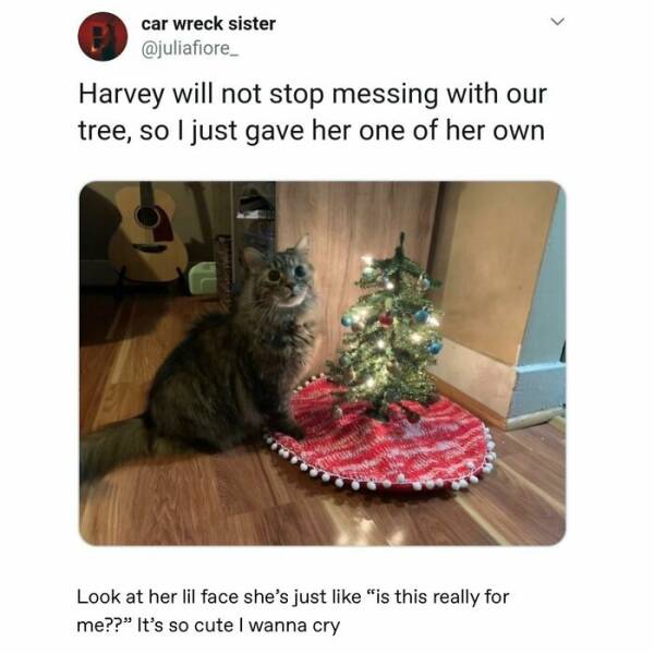 Heartwarming Memes And Posts To Restore Your Faith In Humanity