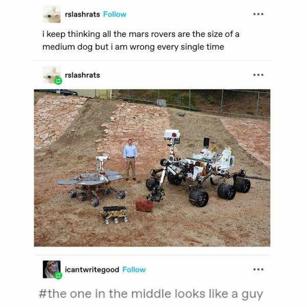 Heartwarming Memes And Posts To Restore Your Faith In Humanity
