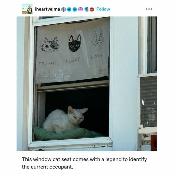 Heartwarming Memes And Posts To Restore Your Faith In Humanity