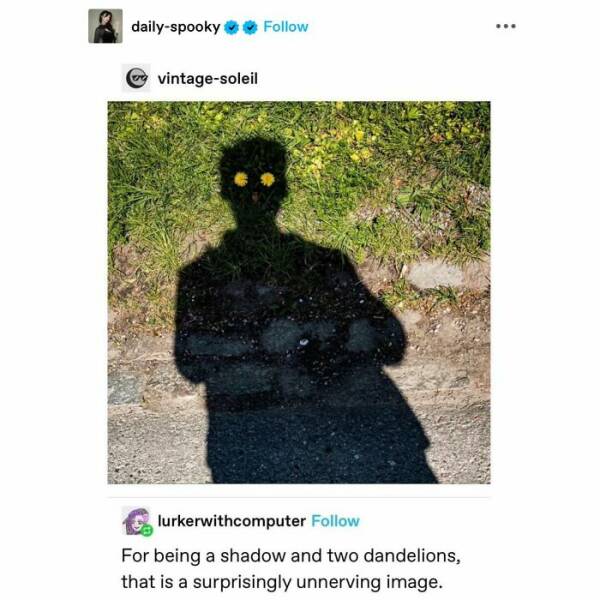 Heartwarming Memes And Posts To Restore Your Faith In Humanity