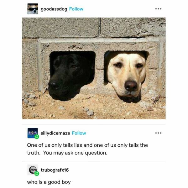 Heartwarming Memes And Posts To Restore Your Faith In Humanity