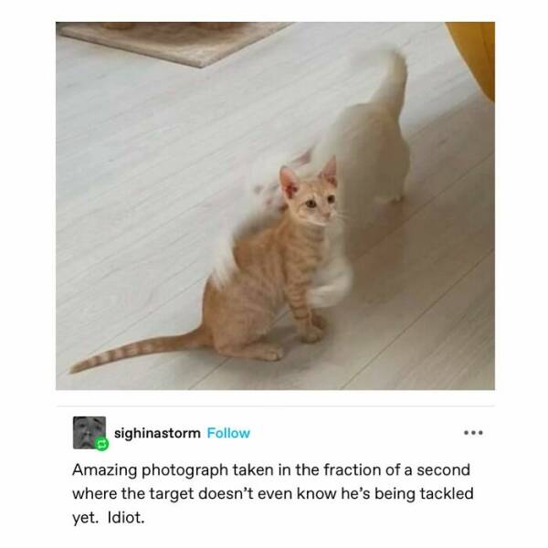 Heartwarming Memes And Posts To Restore Your Faith In Humanity