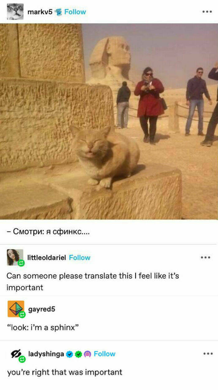 Heartwarming Memes And Posts To Restore Your Faith In Humanity