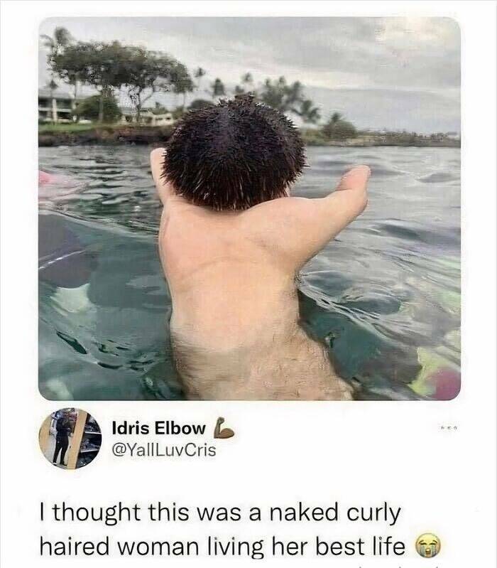 Savage Comments So Brutal, They Deserve An Award