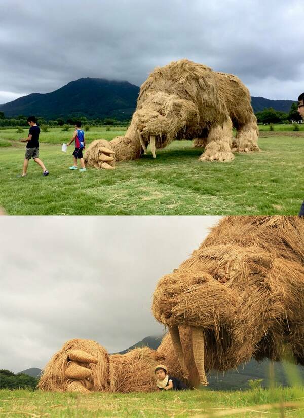 Stunning Straw Sculptures Of The Wara Art Festival Stunning Straw Sculptures Of The Wara Art Festival