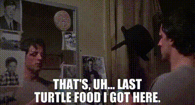 Fun Facts You Didn’t Know You Needed In Your Life (17 GIFS) - Izismile.com