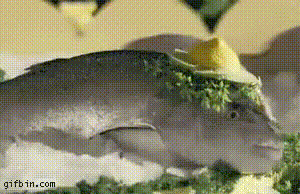 Fun Facts You Didn’t Know You Needed In Your Life