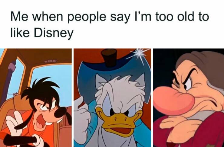 Hilarious Disney Memes For Everyone