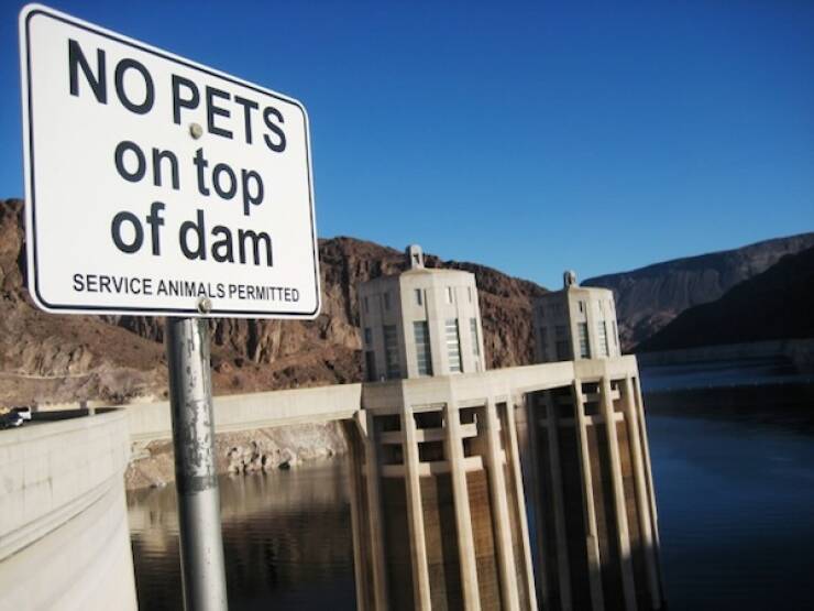 Ridiculous Rules We Have Thanks To One Person’s Epic Fail