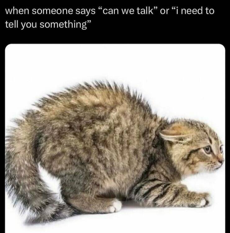 Sadistic Memes With A Twist Of Humor That’ll Make You Laugh
